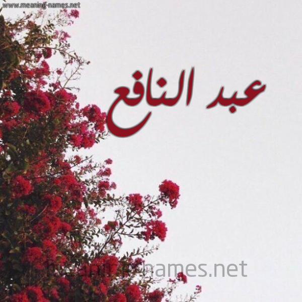 شكل 18 صوره الورد الأحمر للإسم بخط رقعة صورة اسم عبد النافع ABD-ALNAFA